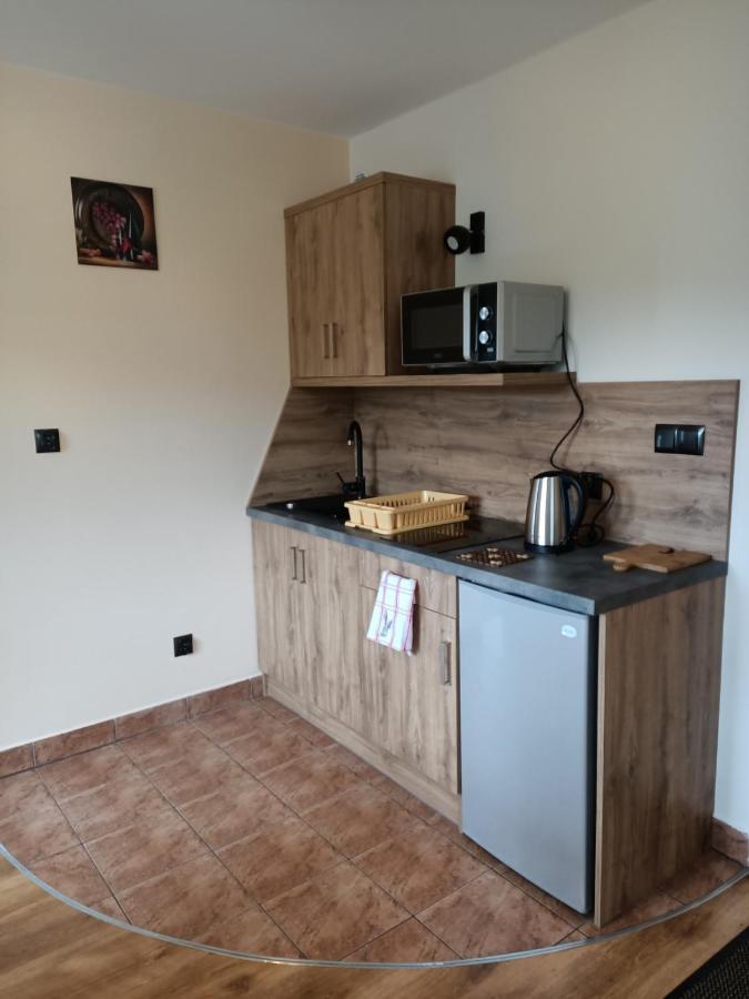 Wynajem U Patryka Apartment โปโรนิน ภายนอก รูปภาพ