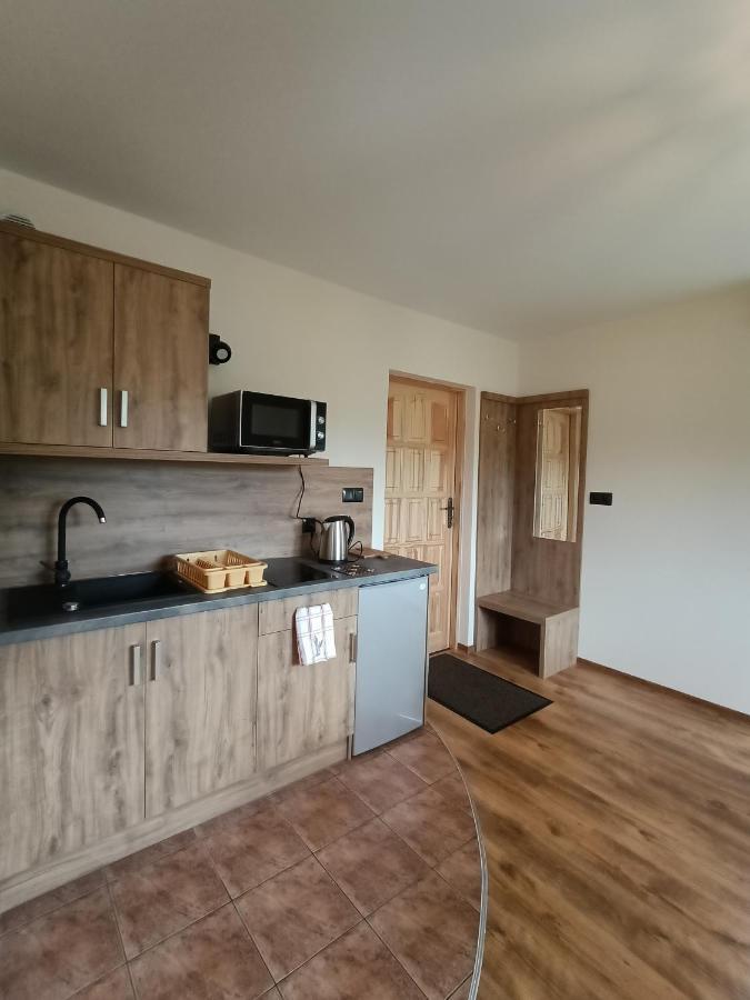 Wynajem U Patryka Apartment โปโรนิน ภายนอก รูปภาพ