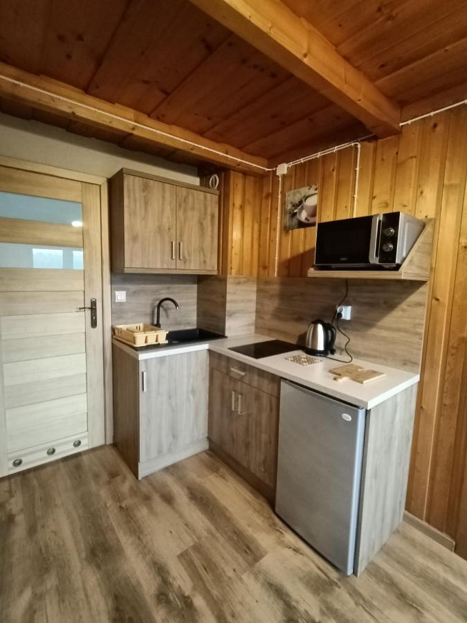 Wynajem U Patryka Apartment โปโรนิน ภายนอก รูปภาพ